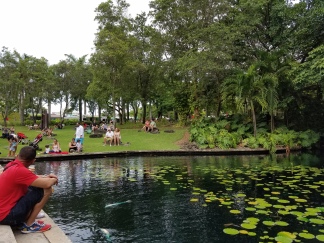 El divertido y tranquilo ambiente en los jardines del Museo de Arte de Puerto Rico.
